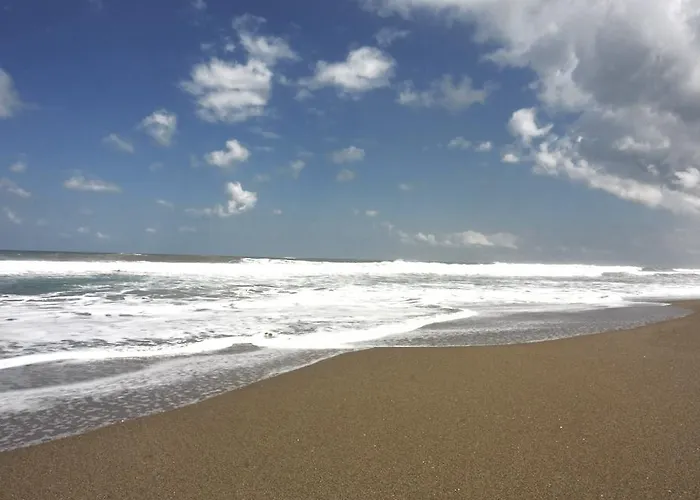 Savannah Canggu (Bali)